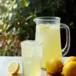 homemade lemonade 2026 03 09 200117 819x1024 1